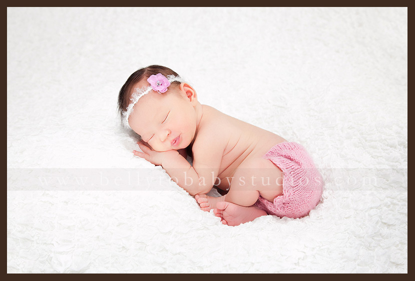 Houston newborn portraits 