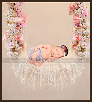 Houston Newborn Photographer