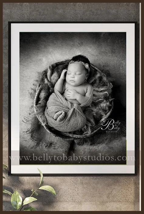 Newborn Portrait Photographer